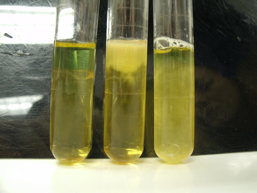 Заражение дизельного топлива микроорганизмами