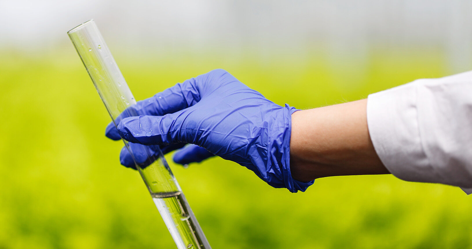 Дизтопливо + бензин = ?